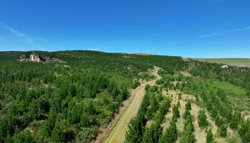  Waitahuna Gully Road, Waitahuna Gully