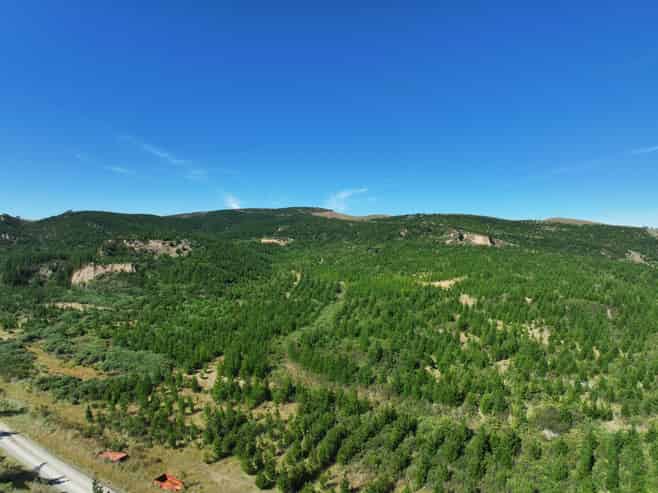  Waitahuna Gully Road, Waitahuna Gully