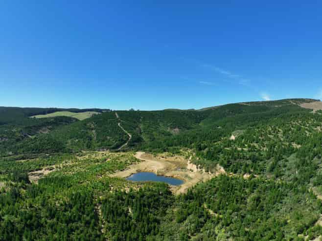  Waitahuna Gully Road, Waitahuna Gully