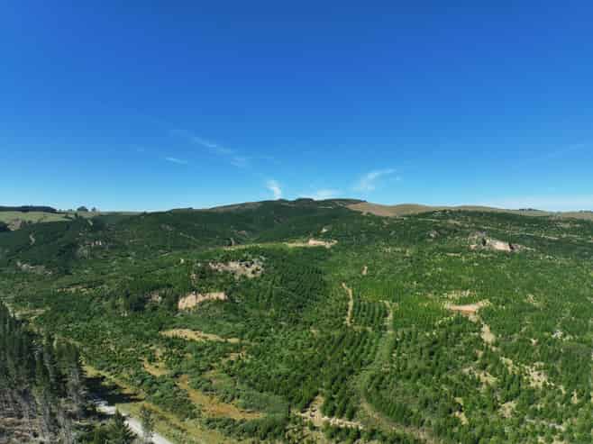  Waitahuna Gully Road, Waitahuna Gully