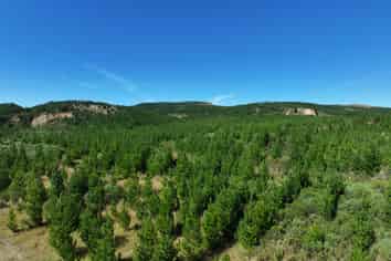  Waitahuna Gully Road, Waitahuna Gully