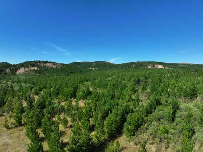  Waitahuna Gully Road, Waitahuna Gully