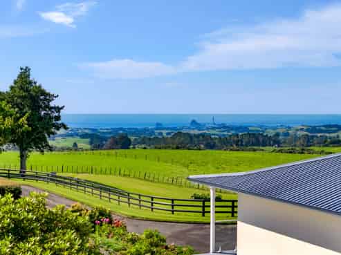 911 Plymouth Road, Koru