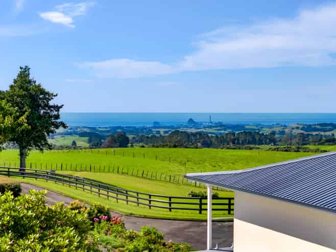 911 Plymouth Road, Koru