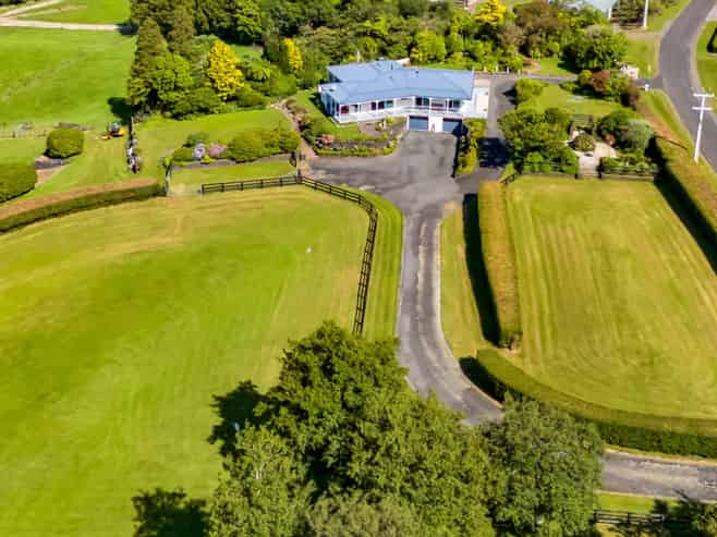 911 Plymouth Road, Koru