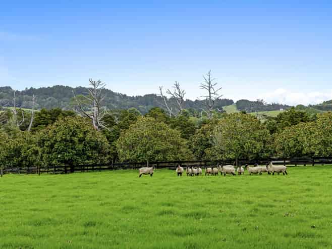 23 Rosemount Road, Matakana