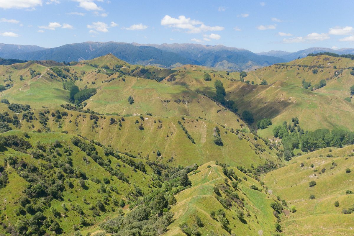 Strong Rangitikei Breeding Country @ $7,000+/Ha - Prikaz 4