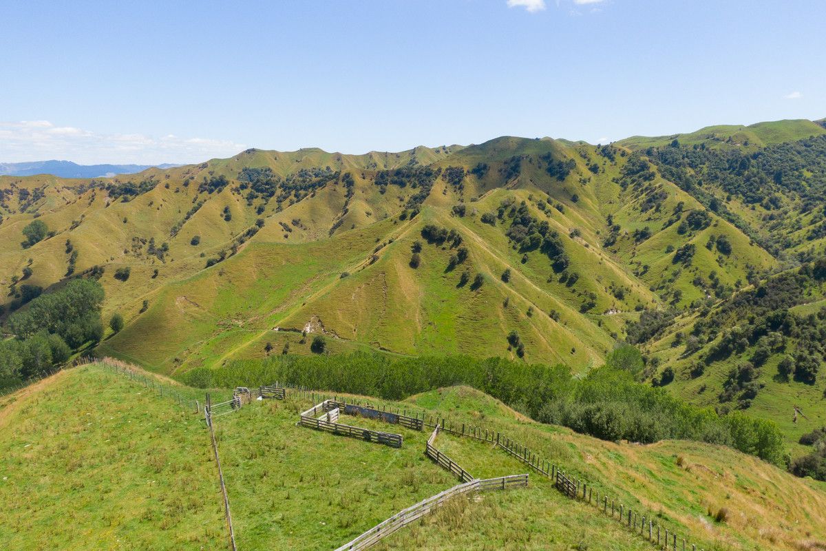 Strong Rangitikei Breeding Country @ $7,000+/Ha - Prikaz 3