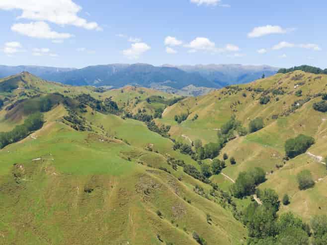 131 Rangitane Road, Mangaweka