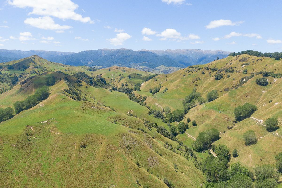 Strong Rangitikei Breeding Country @ $7,000+/Ha - Prikaz 6