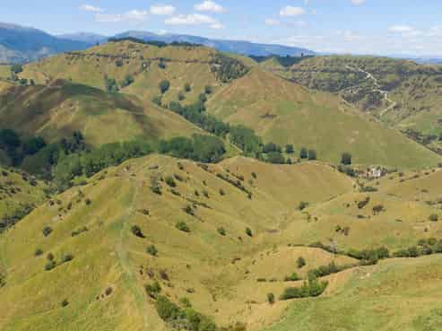 131 Rangitane Road, Mangaweka