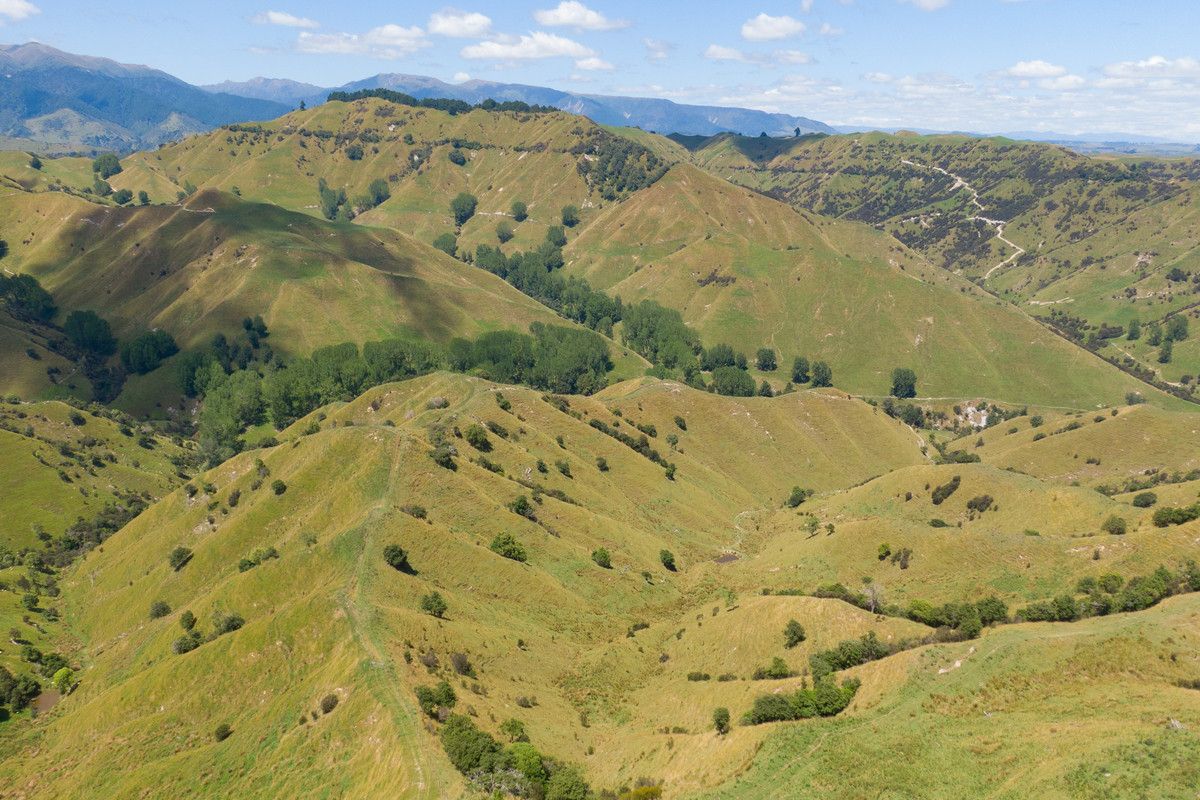Strong Rangitikei Breeding Country @ $7,000+/Ha - Prikaz 5