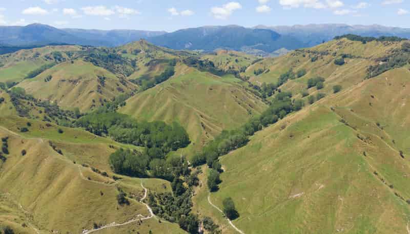131 Rangitane Road, Mangaweka