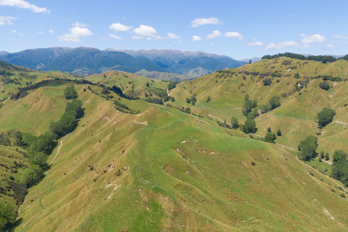 Strong Rangitikei Breeding Country @ $7,000+/Ha - Više