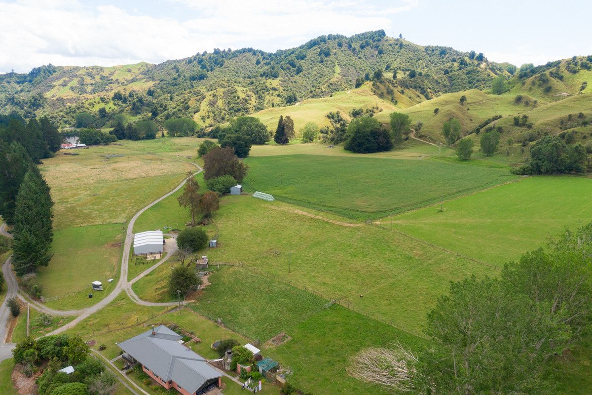 Strong Rangitikei Breeding Country @ $7,000+/Ha - Prikaz 2