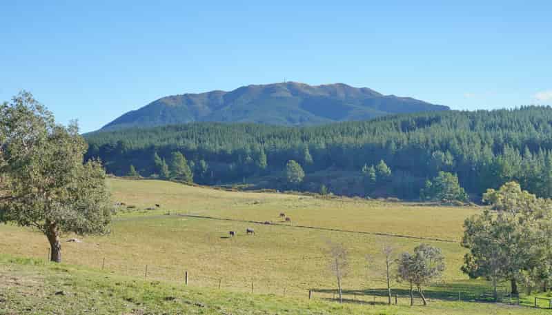 Lot 2/480 Cramptons Bush Road, Broomfield