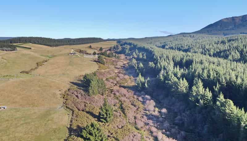 Lot 2/480 Cramptons Bush Road, Broomfield