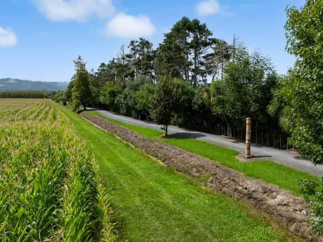 LOT 5, DP160216 Omaha Flats Road, Omaha