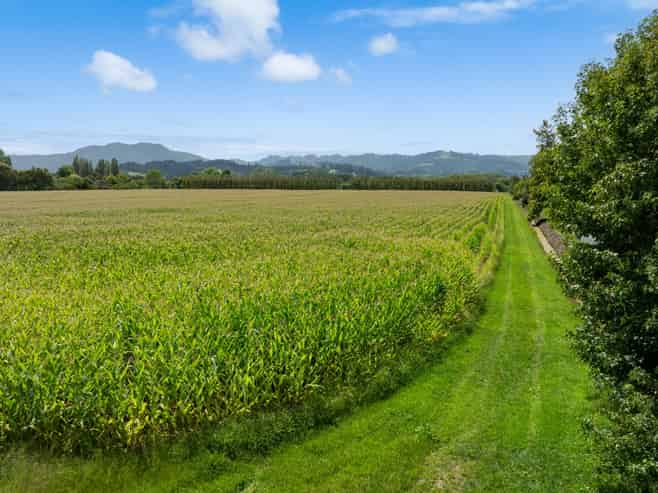 LOT 5, DP160216 Omaha Flats Road, Omaha