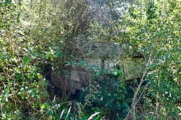 9 Nikau Heights, Little Wanganui