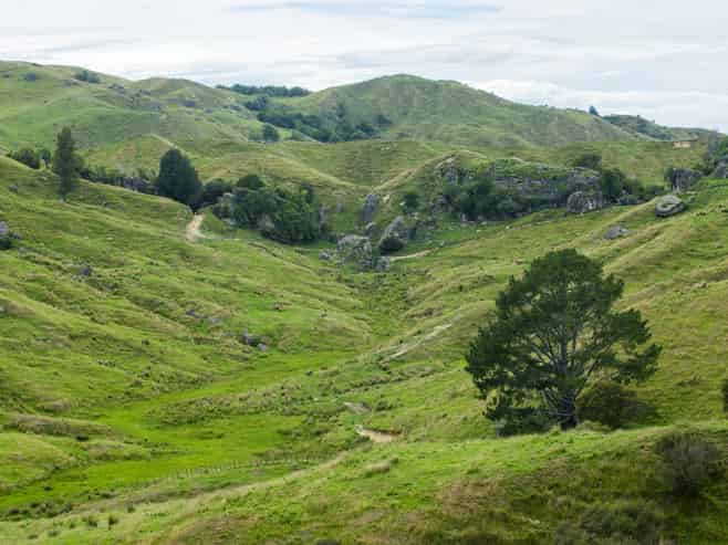  Creagmor, 771 Mangaone Road, Nuhaka