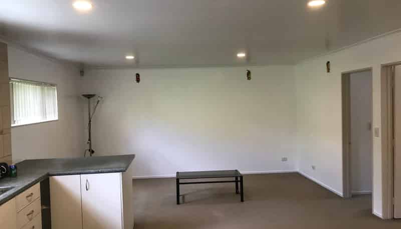 2B Pinewood St, Avondale