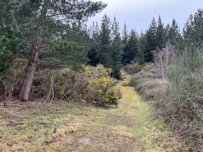  Breakneck Road, Herbert