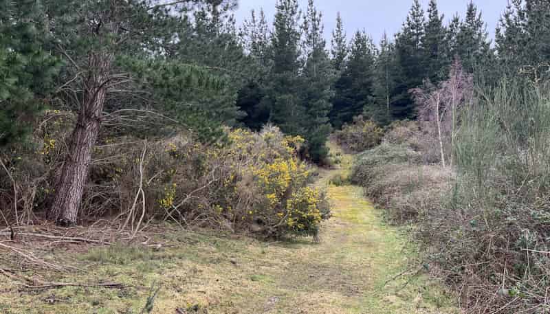  Breakneck Road, Herbert