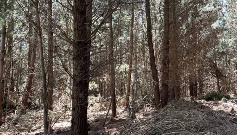  Breakneck Road, Herbert