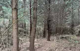  Breakneck Road, Herbert