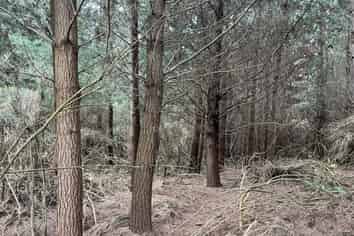  Breakneck Road, Herbert