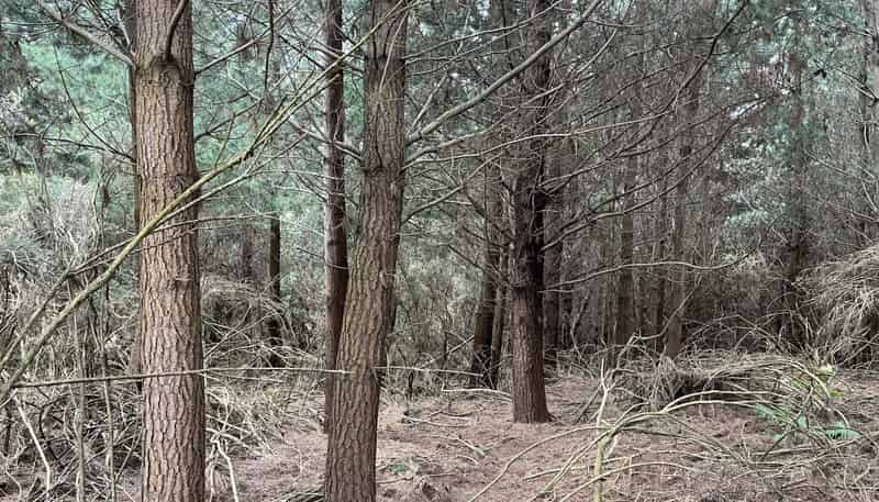  Breakneck Road, Herbert