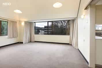 449a George Street, North Dunedin