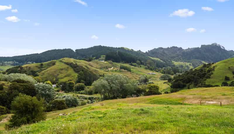 Lots 1-4 DP 628973, Goodwin Road, Whataupoko