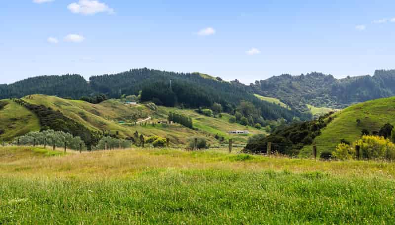 Lots 1-4 DP 628973, Goodwin Road, Whataupoko