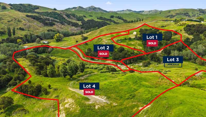 Lots 1-4 DP 628973, Goodwin Road, Whataupoko