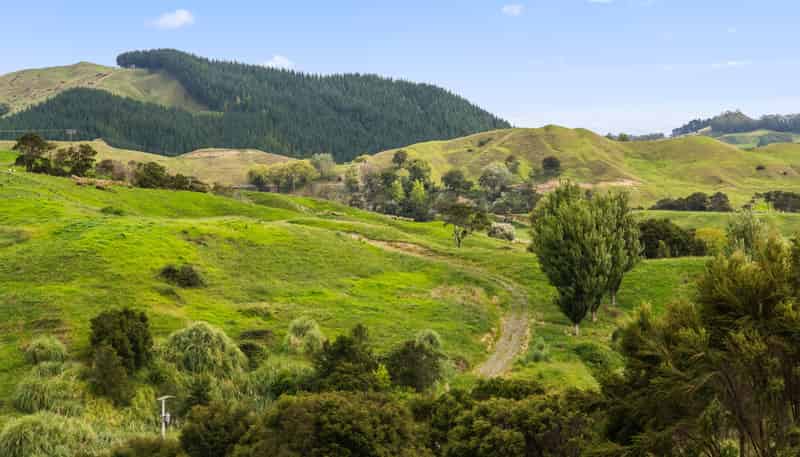 Lots 1-4 DP 628973, Goodwin Road, Whataupoko