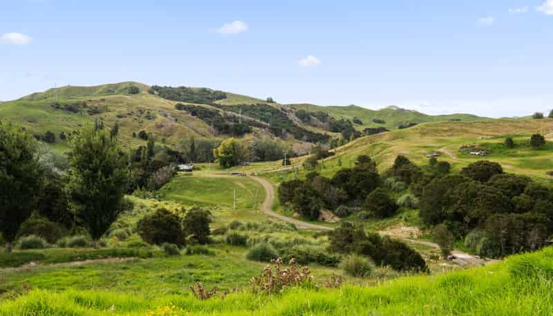 Lots 1-4 DP 628973, Goodwin Road, Whataupoko