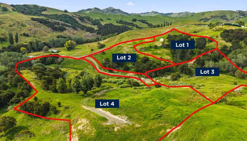 Lots 1-4 Proposed Subdivision, Goodwin Road, Whataupoko