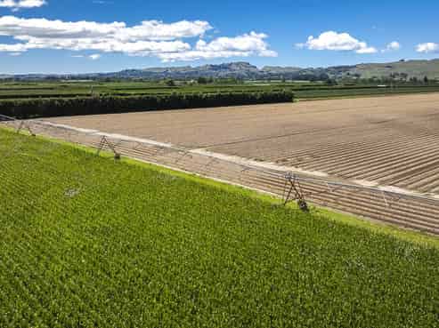 1355 Railway Road South and 656 Te Aute Road, Longlands