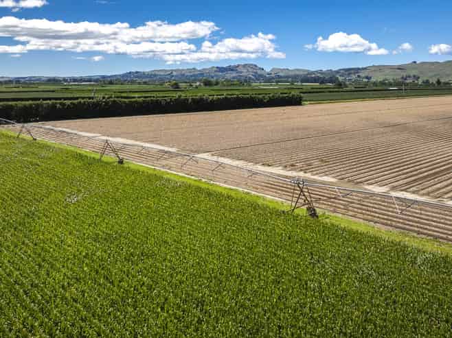 1355 Railway Road South and 656 Te Aute Road, Longlands