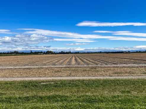 1355 Railway Road South and 656 Te Aute Road, Longlands