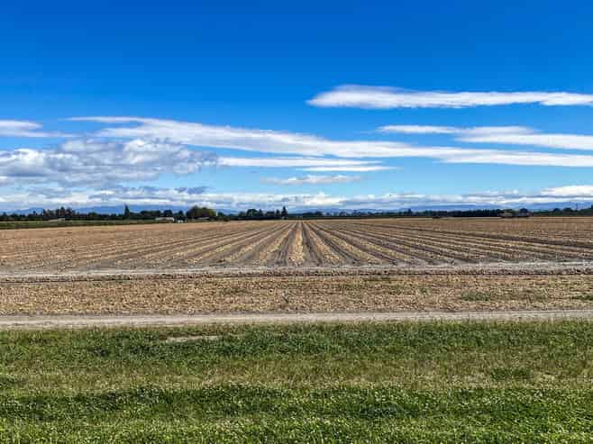 1355 Railway Road South and 656 Te Aute Road, Longlands