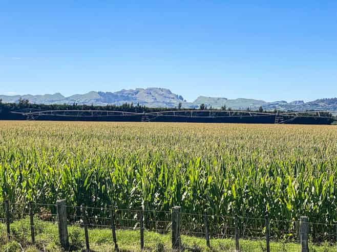 1355 Railway Road South and 656 Te Aute Road, Longlands