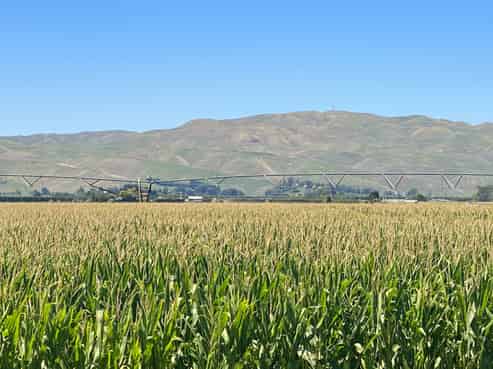 1355 Railway Road South and 656 Te Aute Road, Longlands