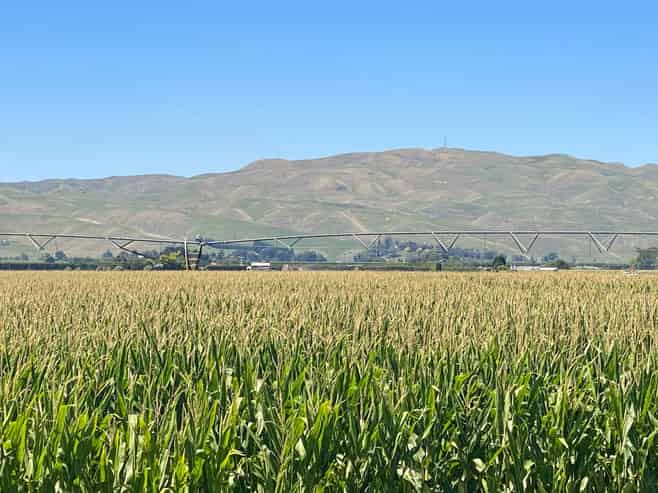 1355 Railway Road South and 656 Te Aute Road, Longlands