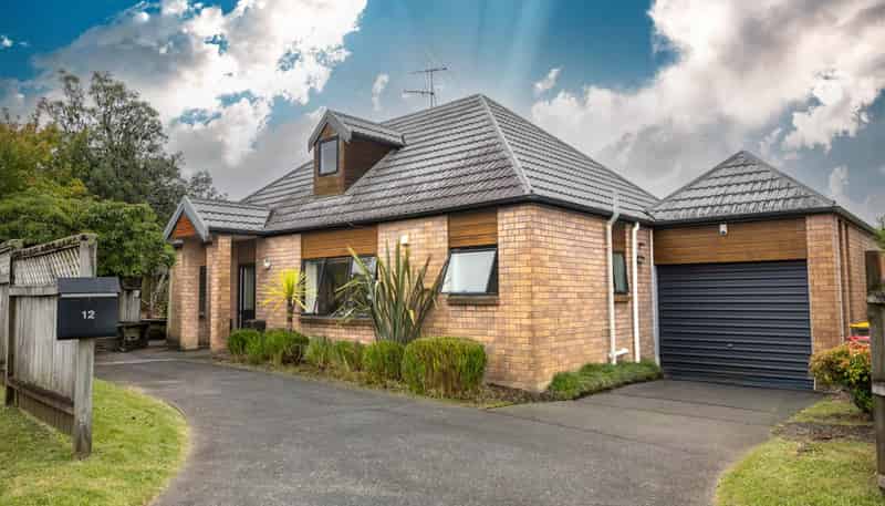 12 Skybird Place, Glen Eden