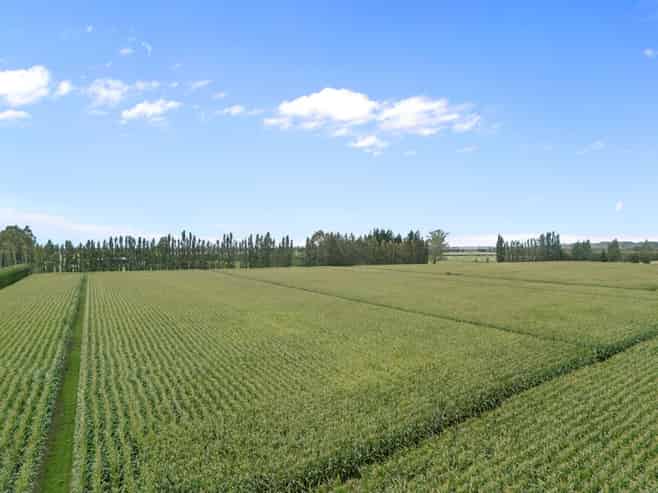 349 Wakanui Road, Ashburton