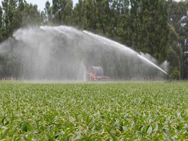 349 Wakanui Road, Ashburton