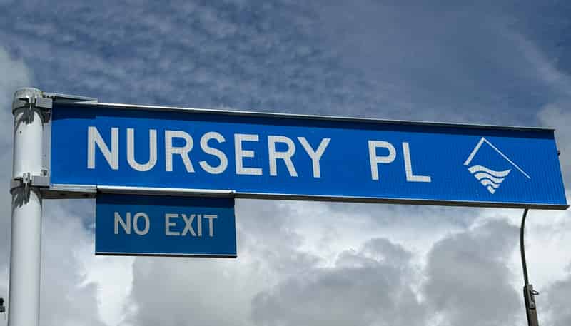  Nursery Place, New Plymouth Central